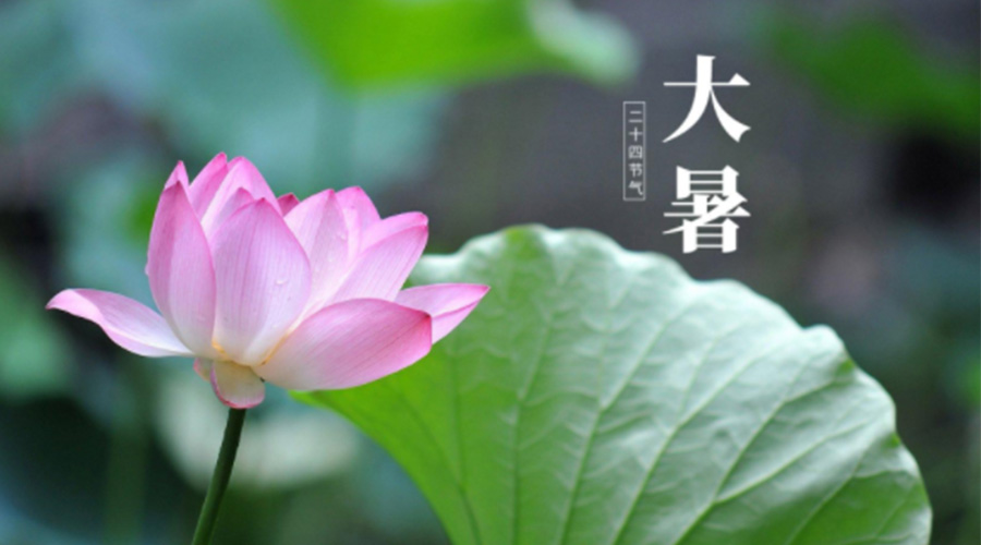 大暑時(shí)節(jié)！金環(huán)電器提醒大家注意這些干衣細(xì)節(jié)