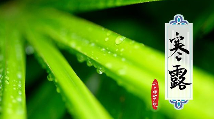 寒露時(shí)節(jié)到！金環(huán)電器提醒這些干衣事項(xiàng)要注意