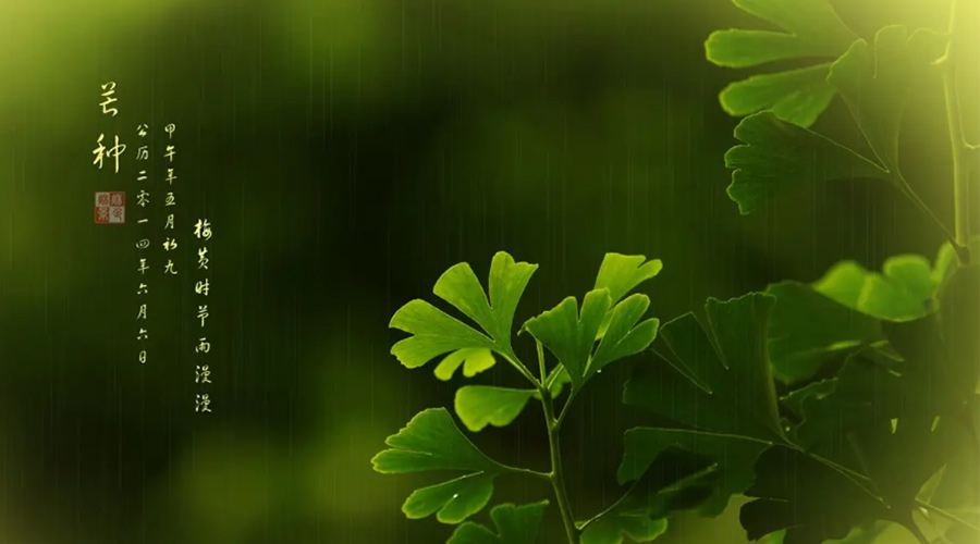 芒種時(shí)節(jié)！金環(huán)電器提醒大家的注意事項(xiàng)