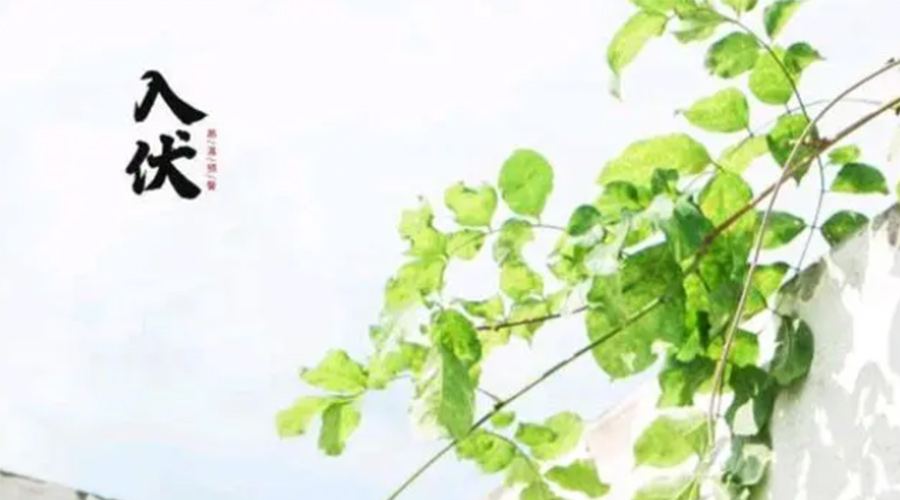 初伏時(shí)節(jié)！金環(huán)電器提醒大家要注意的事項(xiàng)