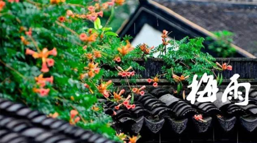 什么是梅雨？梅雨如何形成？  金環(huán)電器告訴你答案